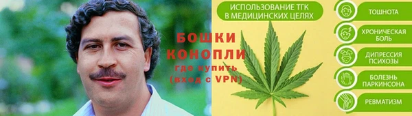 индика Белоозёрский